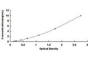 ELISA image for Guanine Nucleotide Binding Protein (G Protein), beta Polypeptide 1 (GNB1) ELISA Kit (ABIN425699)