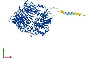 Protein Structure (PS) image for Dipeptidyl-Peptidase 4 (DPP4) (AA 1-766) protein (His tag) (ABIN7553716)
