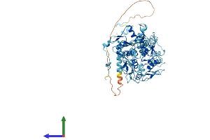 Protein Structure (PS) image for Zinc Finger Protein 709 (ZNF709) (AA 1-641) protein (His tag) (ABIN7545687)