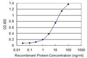 Detection limit for recombinant GST tagged KIAA1199 is 0. (CEMIP 抗体  (AA 880-979))