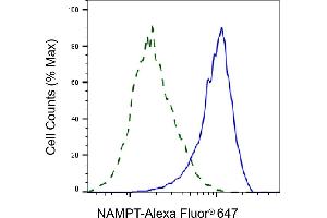 Flow cytometric analysis of NAMPT expression in HepG2 cells using NAMPT antibody (ABIN7799595), 1:2,000). (Recombinant NAMPT 抗体)