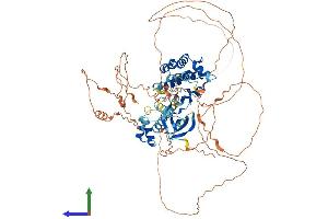 Protein Structure (PS) image for SNF Related Kinase (SNRK) (AA 1-765) protein (His tag) (ABIN7546139)