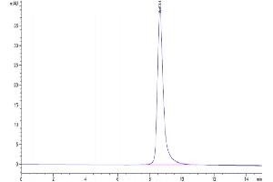 Size-exclusion chromatography-High Pressure Liquid Chromatography (SEC-HPLC) image for CD36 (CD36) (AA 30-439) protein (His tag) (ABIN7274128)