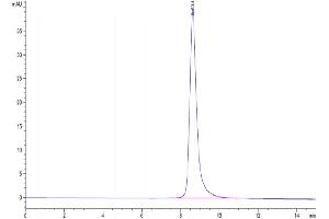 The purity of Cynomolgus CD36 is greater than 95 % as determined by SEC-HPLC. (CD36 Protein (CD36) (AA 30-439) (His tag))