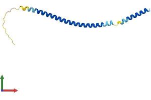 Protein Structure (PS) image for Blocked Early in Transport 1 Homolog (BET1) (AA 1-118) protein (His tag) (ABIN7552615)