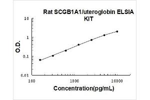 Rat SCGB1A1 PicoKine ELISA Kit standard curve