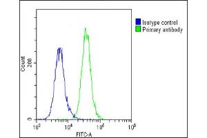 Overlay histogram showing A549 cells stained with (ABIN6243218 and ABIN6578914)(green line). (GRB14 抗体  (AA 14-48))
