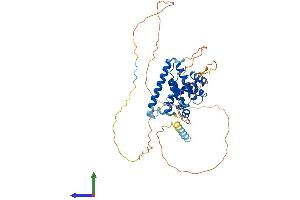 Protein Structure (PS) image for BCL2-Like 13 (Apoptosis Facilitator) (BCL2L13) (AA 1-434) protein (His tag) (ABIN7556533)