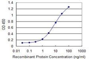 Detection limit for recombinant GST tagged C9orf95 is 0. (NMRK1 抗体  (AA 1-90))
