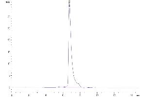 The purity of Human SLAMF7 is greater than 95 % as determined by SEC-HPLC.
