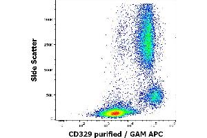 Flow cytometry surface staining pattern of human peripheral whole blood stained using anti-human CD329 (K8) purified antibody (concentration in sample 1,7 μg/mL, GAM APC). (SIGLEC9 抗体)