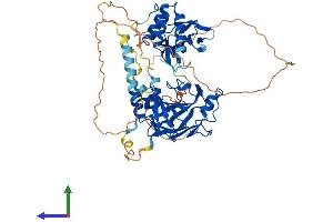 Protein Structure (PS) image for SMAD Family Member 4 (SMAD4) (AA 1-551) protein (His tag) (ABIN7563553)