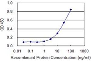 Detection limit for recombinant GST tagged COX15 is 1 ng/ml as a capture antibody. (COX15 抗体  (AA 92-152))