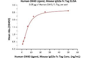 Immobilized Human OX40, Fc Tag (ABIN2181574,ABIN2181573) at 0. (TNFSF4 Protein (AA 51-183) (Fc Tag))