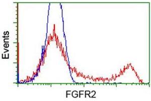 HEK293T cells transfected with either RC217098 overexpress plasmid (Red) or empty vector control plasmid (Blue) were immunostained by anti-FGFR2 antibody (ABIN2454751), and then analyzed by flow cytometry. (FGFR2 抗体)