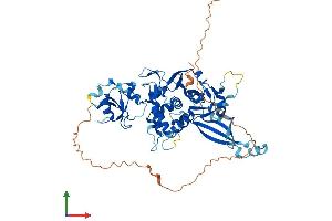 Protein Structure (PS) image for Ubiquitin Specific Peptidase 39 (USP39) (AA 1-564) protein (His tag) (ABIN7557066)