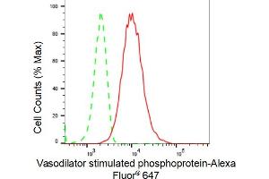 Flow cytometric analysis of Vasodilator stimulated phosphoprotein expression in HT- cells using Vasodilator stimulated phosphoprotein antibody (ABIN7800824), 1:2,000).