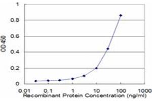 Detection limit for recombinant GST tagged PRDX2 is approximately 3ng/ml as a capture antibody. (Peroxiredoxin 2 抗体  (AA 1-198))
