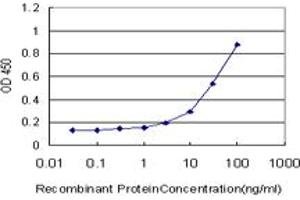 Detection limit for recombinant GST tagged SYT1 is approximately 1ng/ml as a capture antibody. (SYT1 抗体  (AA 1-422))