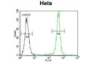 Flow Cytometry (FACS) image for anti-Protocadherin beta 10 (PCDHB10) antibody (ABIN2996327) (PCDHB10 抗体)