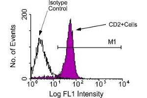 Flow Cytometry (FACS) image for anti-CD2 (CD2) antibody (FITC) (ABIN356209) (CD2 抗体  (FITC))