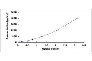 Low Density Lipoprotein Receptor-Related Protein 1 (LRP1) ELISA Kit