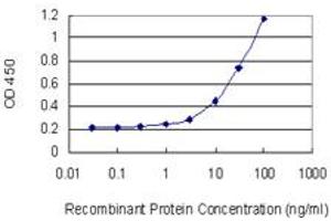 Detection limit for recombinant GST tagged TXK is 0. (TXK 抗体  (AA 131-230))