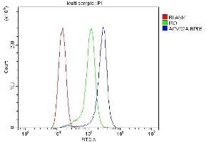 Flow Cytometry analysis of RH35 cells using anti-ACVR2A antibody (ABIN4886422).
