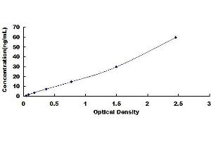 Typical standard curve (ADCY1 ELISA 试剂盒)