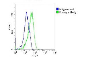 Overlay histogram showing U-2 OS cells stained with (green line). (RAB23 抗体)