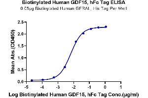 ELISA image for Growth Differentiation Factor 15 (GDF15) (AA 197-308) protein (Fc Tag,Biotin) (ABIN7274726)