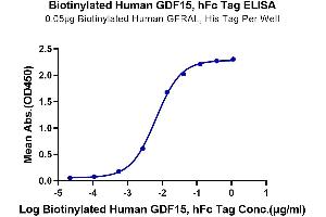 Immobilized Biotinylated Human GFRAL, His Tag at 0. (GDF15 Protein (AA 197-308) (Fc Tag,Biotin))