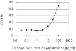 Detection limit for recombinant GST tagged PLCB2 is 3 ng/ml as a capture antibody. (Phospholipase C beta 2 抗体  (AA 1-199))