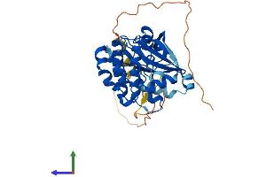 AlphaFold protein structure predicition of Mouse Recombinant Aurkb Protein, UniprotID O70126