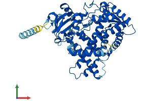 Protein Structure (PS) image for Cytochrome P450, Family 2, Subfamily F, Polypeptide 1 (CYP2F1) (AA 1-491) protein (His tag) (ABIN7546827)