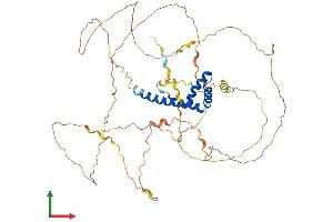 Protein Structure (PS) image for Thymus High Mobility Group Box Protein (TOX) (AA 1-526) protein (His tag) (ABIN7557864)