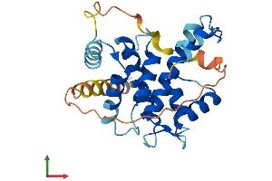 Protein Structure (PS) image for Calpain, Small Subunit 2 (CAPNS2) (AA 1-248) protein (His tag) (ABIN7546831)