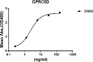 ELISA plate pre-coated by 2 μg/mL (100 μL/well) Human GPRC5D protein, hFc-His tagged protein ((ABIN6961124, ABIN7042277 and ABIN7042278)) can bind Rabbit anti-GPRC5D monoclonal antibody(clone: DM89) in a linear range of 0. (GPRC5D 抗体  (AA 1-27))