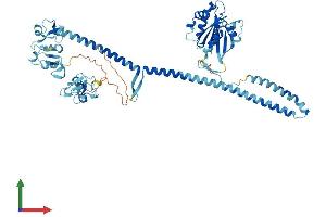 Protein Structure (PS) image for Tripartite Motif Containing 23 (TRIM23) (AA 1-574) protein (His tag) (ABIN7544715)