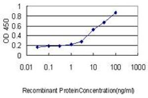 Detection limit for recombinant GST tagged MGC3207 is approximately 0. (MRI1 抗体  (AA 1-369))