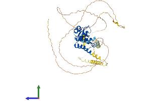 Protein Structure (PS) image for PC4 and SFRS1 Interacting Protein 1 (PSIP1) (AA 1-530) protein (His tag) (ABIN7555084)