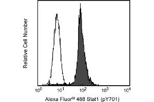 Flow Cytometry (FACS) image for anti-Signal Transducer and Activator of Transcription 1, 91kDa (STAT1) (pTyr701) antibody (Alexa Fluor 488) (ABIN1177191) (STAT1 抗体  (pTyr701) (Alexa Fluor 488))