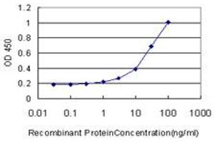 Detection limit for recombinant GST tagged MEOX1 is approximately 1ng/ml as a capture antibody. (MEOX1 抗体  (AA 165-252))