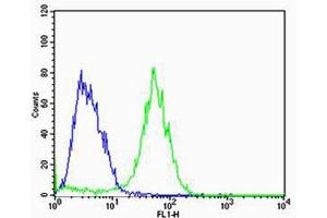 Flow cytometric analysis of MCF-7 cells using ADRA1D Antibody (N-term)(green) compared to an isotype control of rabbit IgG(blue). (ADRA1D 抗体  (N-Term))