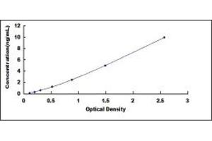 Typical standard curve (TIMP4 ELISA 试剂盒)