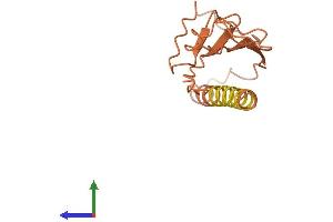 AlphaFold protein structure predicition of Human Recombinant ERC2-IT1 Protein, UniprotID O76042
