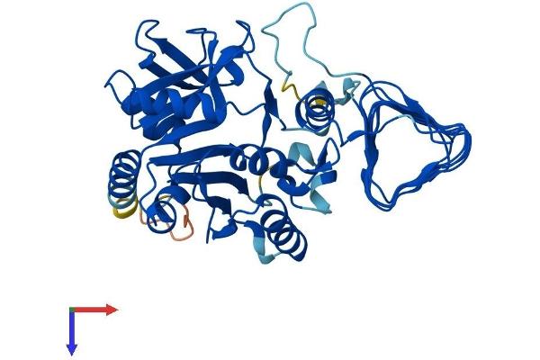 GMPPA Protein (AA 1-420) (His tag)