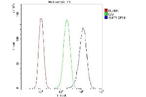 Flow Cytometry analysis of U87 cells using anti-AMFR antibody (ABIN4886455).