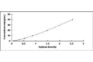 Typical standard curve (Vitamin D Receptor ELISA 试剂盒)