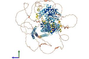 Protein Structure (PS) image for Excision Repair Cross-Complementing Rodent Repair Deficiency, Complementation Group 6-Like (ERCC6L) (AA 1-1250) protein (His tag) (ABIN7553816)